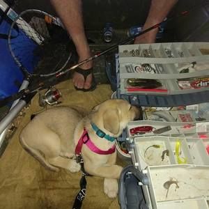 Meet your Posher, Deeana